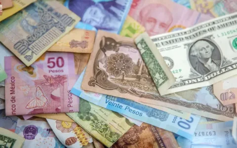 如果AI能让你体验任何人的生活，你会更善良吗？