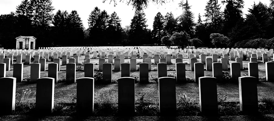 AI，正在“杀死”哪些软件？