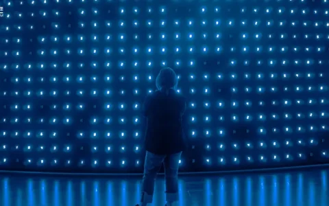 为什么说新能源的”愿景”，需要”牺牲”来换？